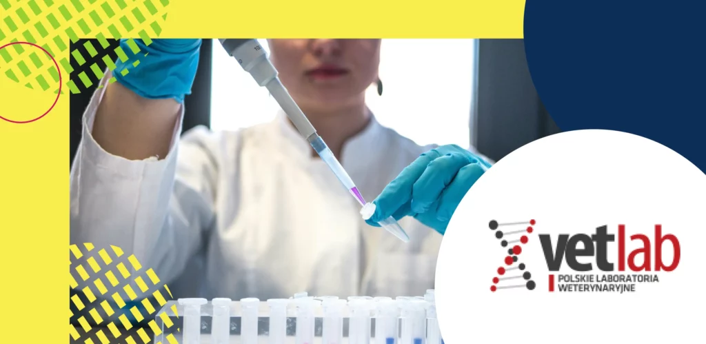case study vetlab